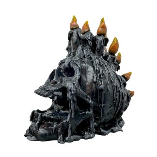 Caveira com Velas