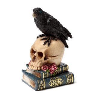 Corvo sobre Caveira e Livros