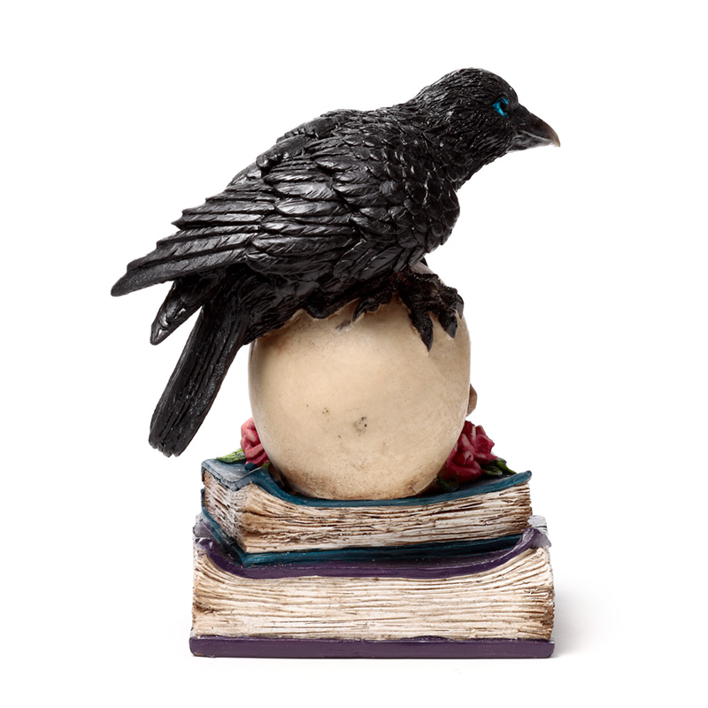 Corvo sobre Caveira e Livros